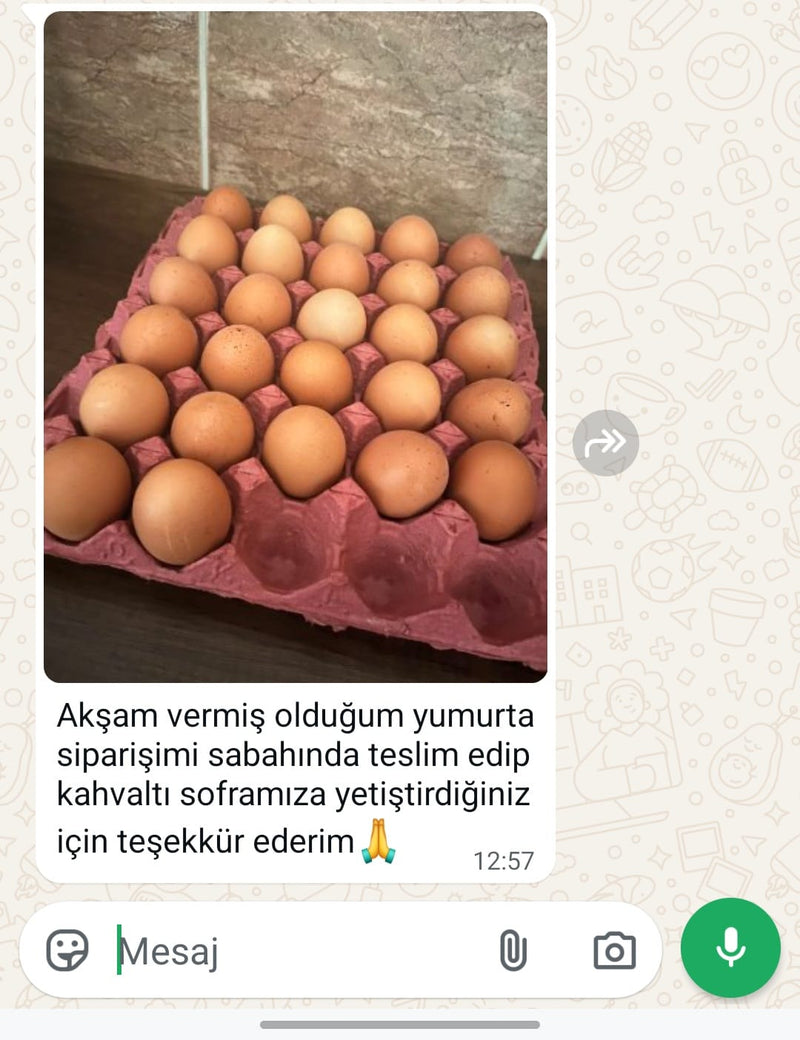 Zeynep K.